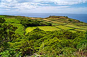 Azzorre, Isola Terceira - Escursione Mata da Serreta. 